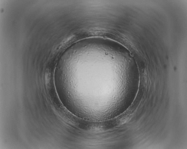 X0000067900263200604201342