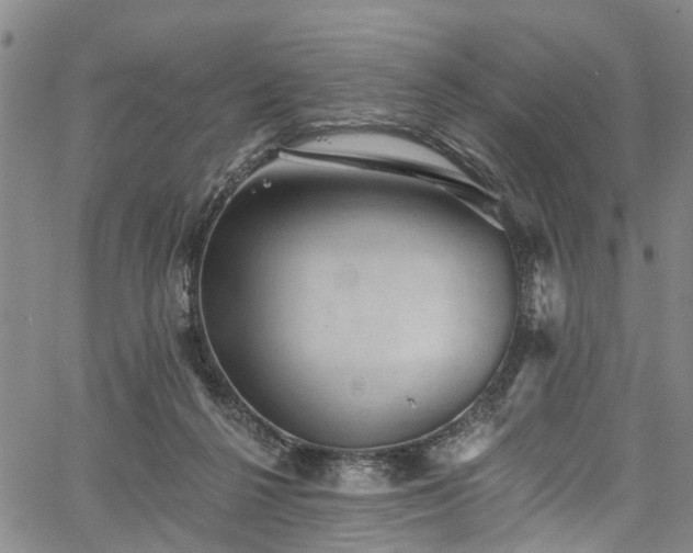 X0000067900264200604201342