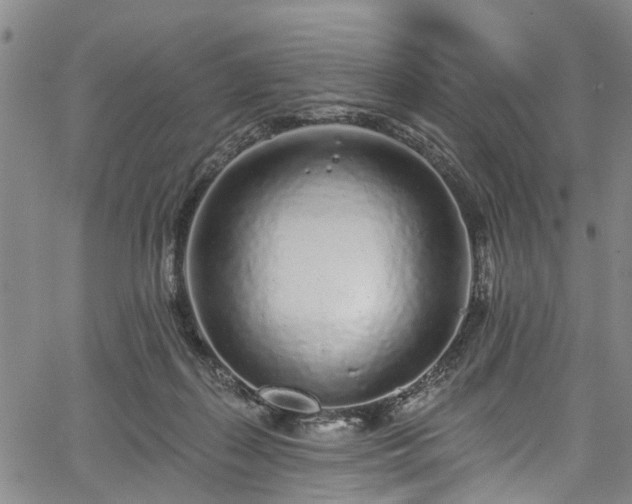 X0000067900267200604201342