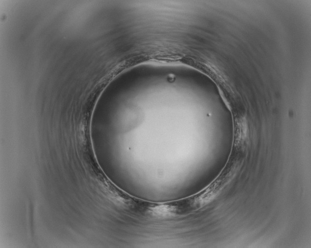 X0000067900269200604201342