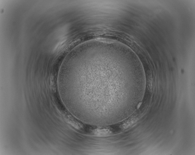 X0000067900270200604201342