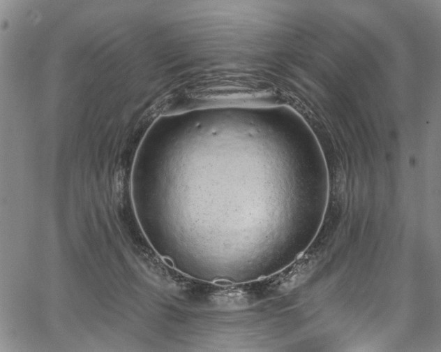 X0000067900271200604201342