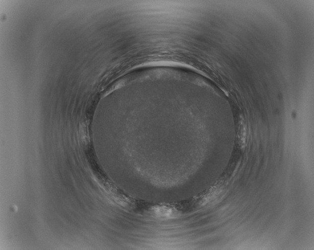 X0000067900272200604201342