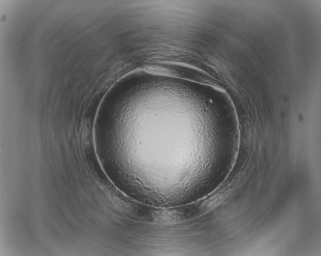 X0000067900273200604201342