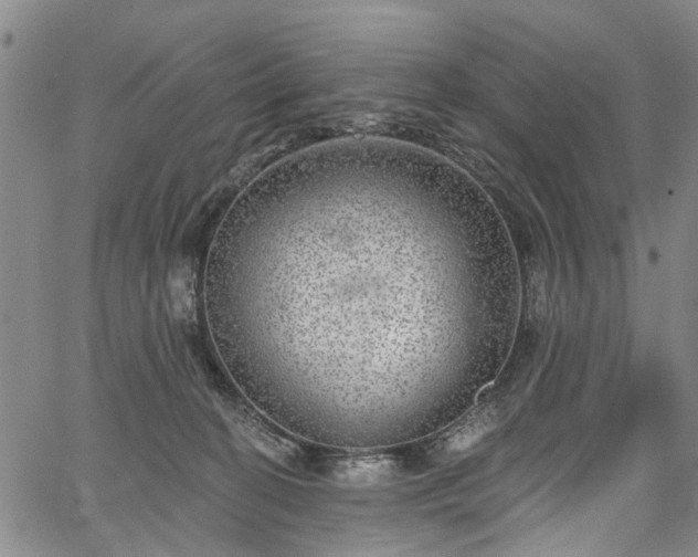 X0000067900274200604201342