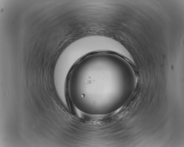 X0000067900276200604201342