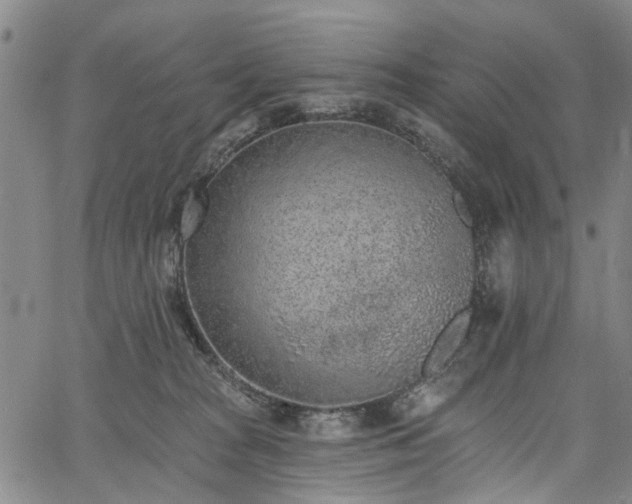 X0000067900277200604201342