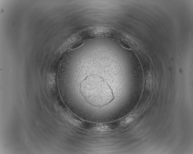 X0000067900278200604201342