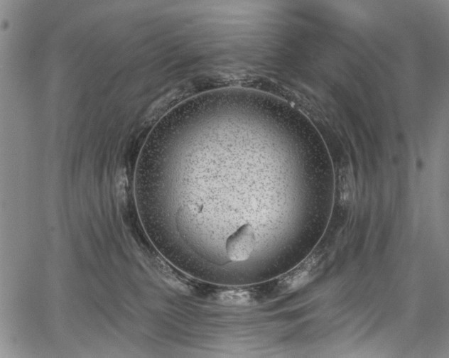 X0000067900279200604201342