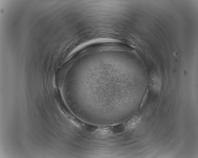 X0000067900280200604201343