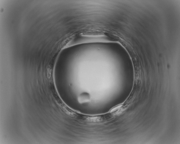 X0000067900281200604201343