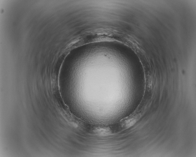 X0000067900283200604201343