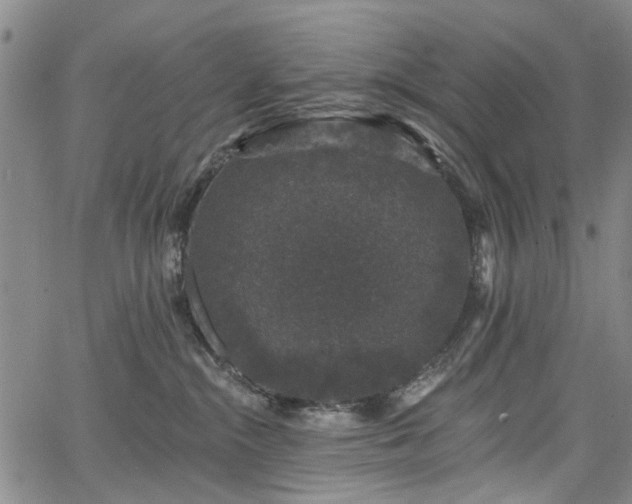 X0000067900284200604201343