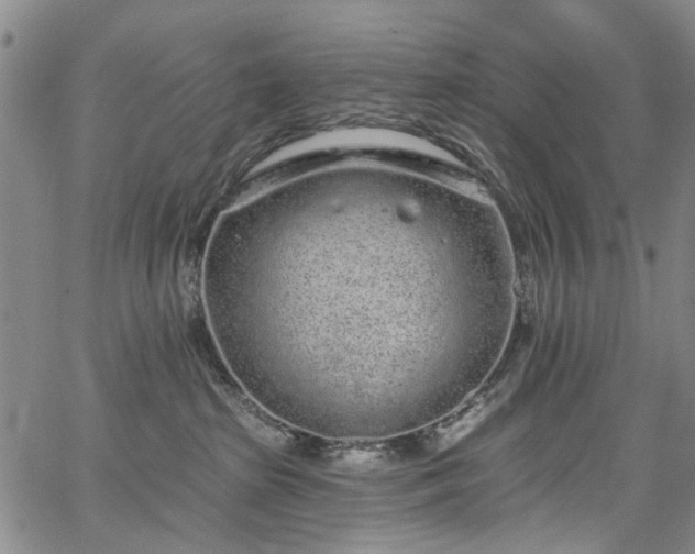 X0000067900285200604201343