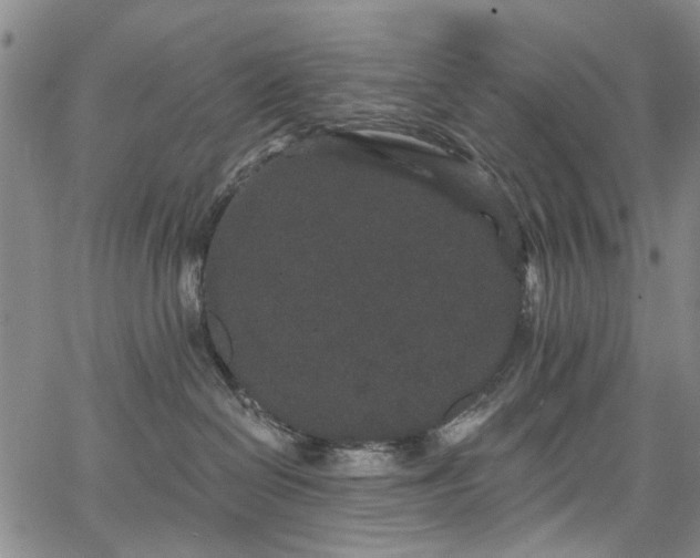 X0000067900286200604201343