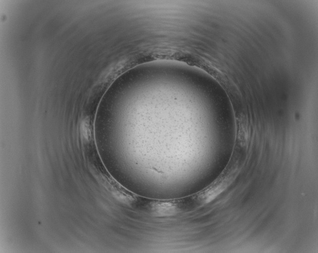 X0000067900287200604201343