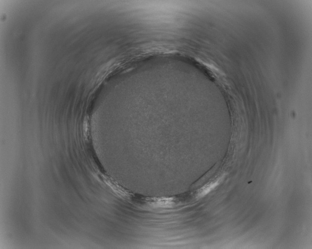 X0000067900288200604201343