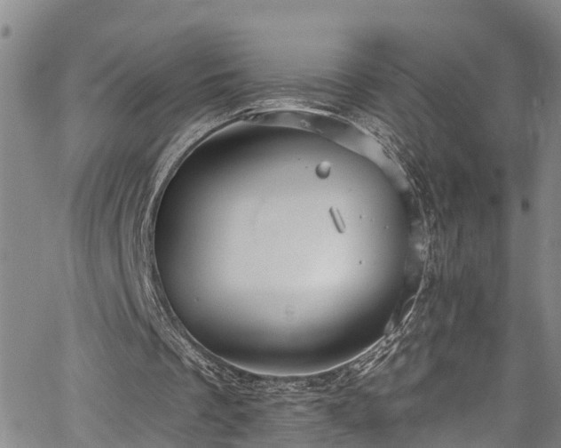 X0000067900289200604201342