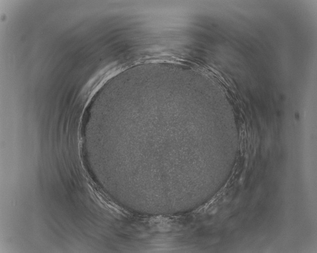 X0000067900290200604201342