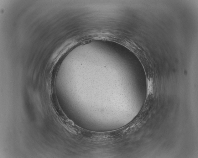 X0000067900291200604201342