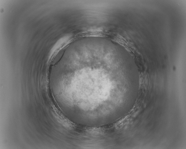 X0000067900293200604201342