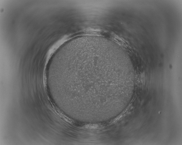 X0000067900294200604201342