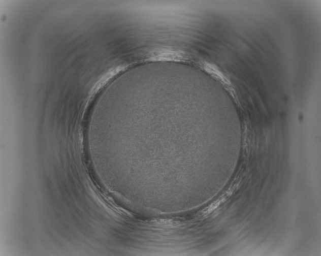 X0000067900298200604201342