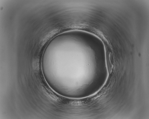 X0000067900299200604201342