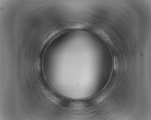 X0000067900300200604201342