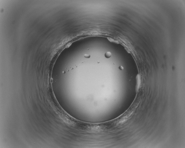 X0000067900301200604201342