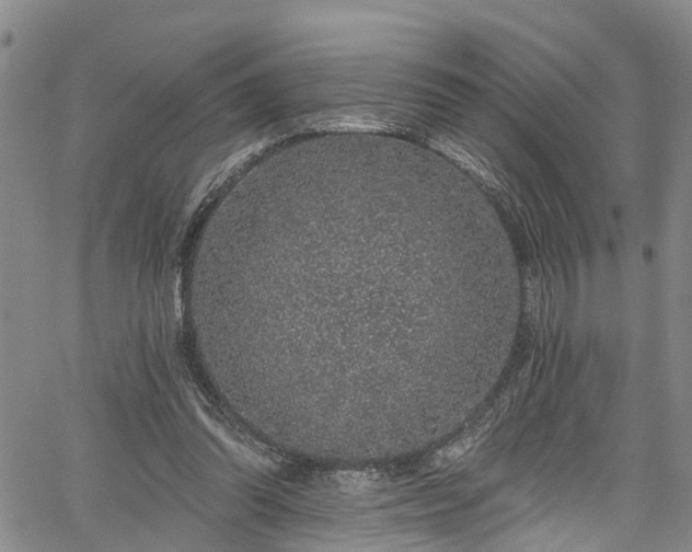 X0000067900302200604201342