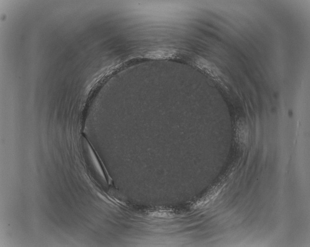 X0000067900303200604201342