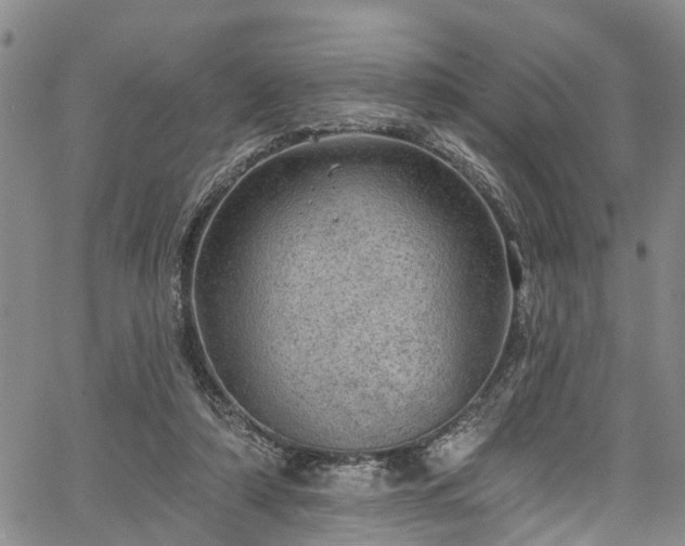 X0000067900306200604201342