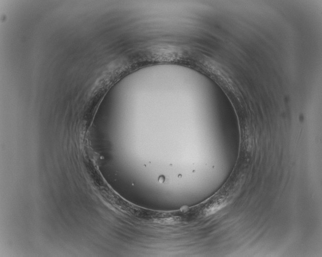 X0000067900307200604201342