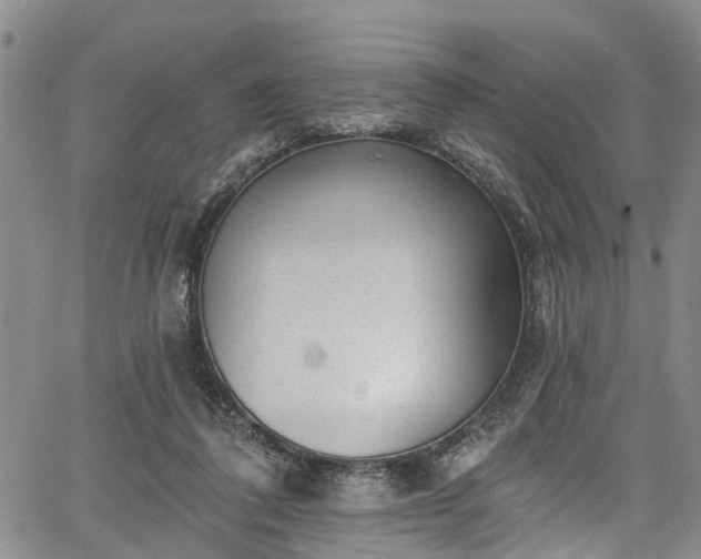 X0000067900308200604201342