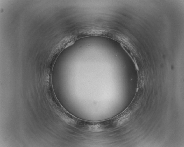 X0000067900309200604201342