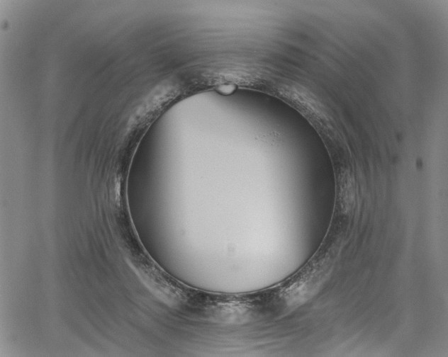 X0000067900310200604201341