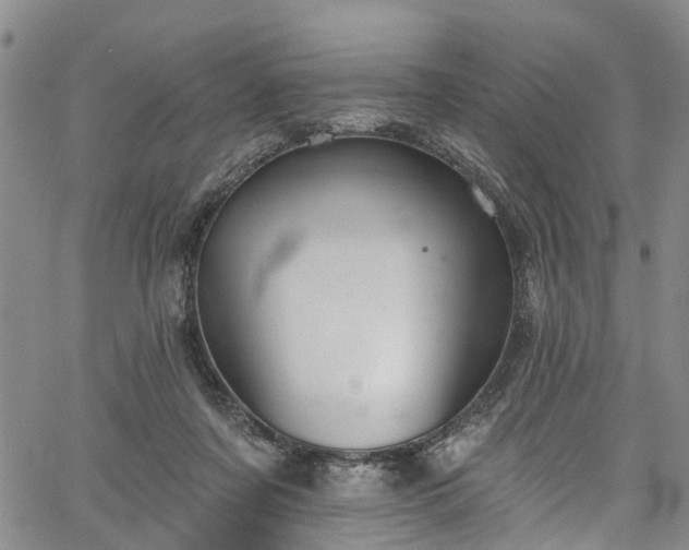 X0000067900311200604201341