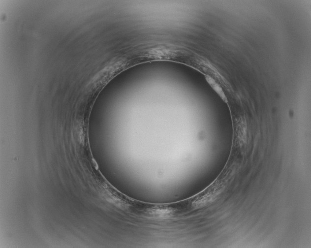 X0000067900313200604201341