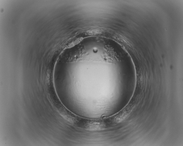 X0000067900315200604201341