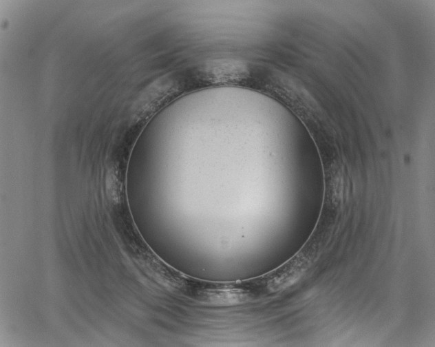 X0000067900316200604201341