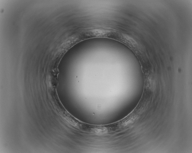 X0000067900317200604201341