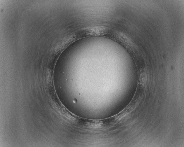 X0000067900318200604201341