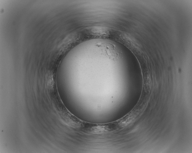 X0000067900320200604201341