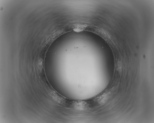 X0000067900321200604201341