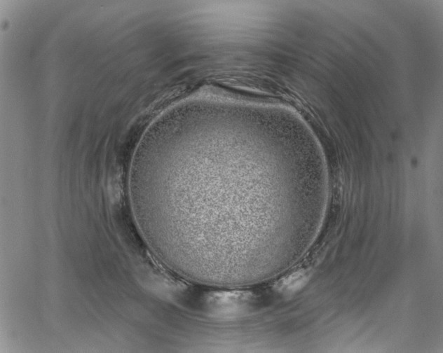 X0000067900323200604201341