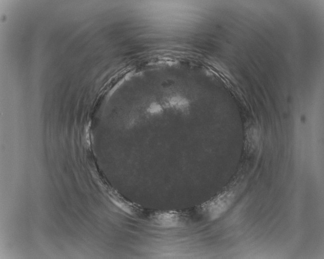 X0000067900325200604201341