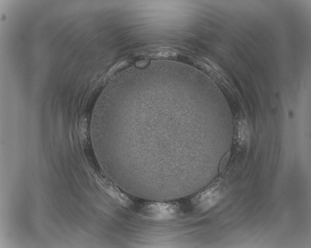 X0000067900326200604201341