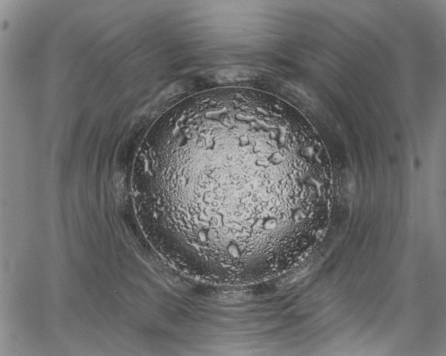 X0000067900327200604201341