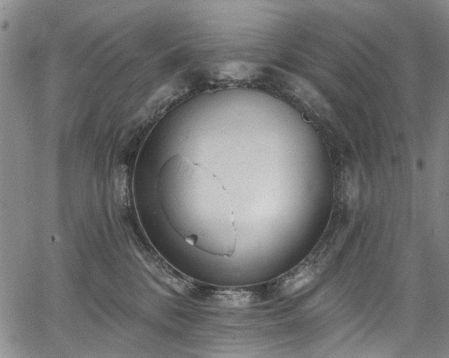 X0000067900328200604201341